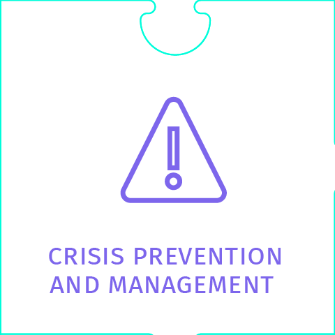 Prevención y gestión de crisis | Sinérgica | Puzzle
